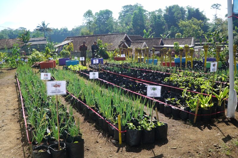 Penilaian Verifikasi Lapangan Lomba Harum Madu tingkat Kabupaten di Harum Madu Kecamatan Bayongbong, KP3 Desa Mekarsari, Kecamatan Bayongbong, Kabupaten Garut, Selasa (18/07/2023).