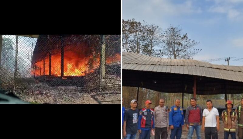 Polsek Wanaraja Polres Garut dengan sigap melakukan inspeksi Tempat Kejadian Perkara (TKP) terkait kebakaran yang melanda gudang tempat penyimpanan kayu milik Sdr. H. Cucu Cahyadi (50) di Kp. Pakemitan Rt.02/01 Ds. Wanaraja Kec.Wanaraja Kab.Garut, pada Minggu (17/9/23) pukul 13.20 WIB.