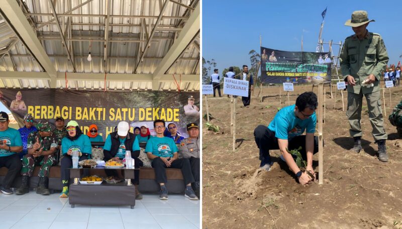 Dalam rangka peringatan satu dekade kepemimpinan Bupati dan Wakil Bupati Garut, sebuah acara penanaman satu juta pohon telah digelar di Kecamatan Cikajang, tepatnya di Kampung Cikandang, Desa Cikandang.