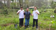 Perhutani Kesatuan Pemangkuan Hutan (KPH) Garut, bersama Lembaga Masyarakat Desa Hutan (LMDH) Sawargi, aktif berpartisipasi dalam penanaman pohon sebagai bagian dari Peringatan Hari Menanam Pohon Indonesia (HMPI) dan Gerakan Pemulihan Daerah Aliran Sungai (GP-DAS). 