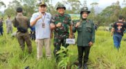 Perhutani Kesatuan Pemangkuan Hutan (KPH) Garut berkolaborasi dengan Komando Distrik Militer (KODIM) 0611 serta Garut melaksanakan kegiatan penanaman di Petak 12 dengan luas 12 hektar di Resort Pemangkuan Hutan (RPH) Tarogong, Bagian Kesatuan Pemangkuan Hutan (BKPH) Leles.Senin (04/12/2023).