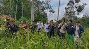Upaya pelestarian lingkungan terus dilakukan di Kabupaten Garut. Kesatuan Pemangkuan Hutan (KPH) Garut bersama Koramil/1117 menggelar aksi penanaman 1000 pohon, termasuk Mahoni, Eukaliptus, MPTS jambu batu, jambu bool, durian, dan petai di petak 103 f Resort Pemangkuan Hutan (RPH) Cihurip, Bagian Kesatuan Pemangkuan Hutan (BKPH) Cisompet.Rabu (10/01/2024).