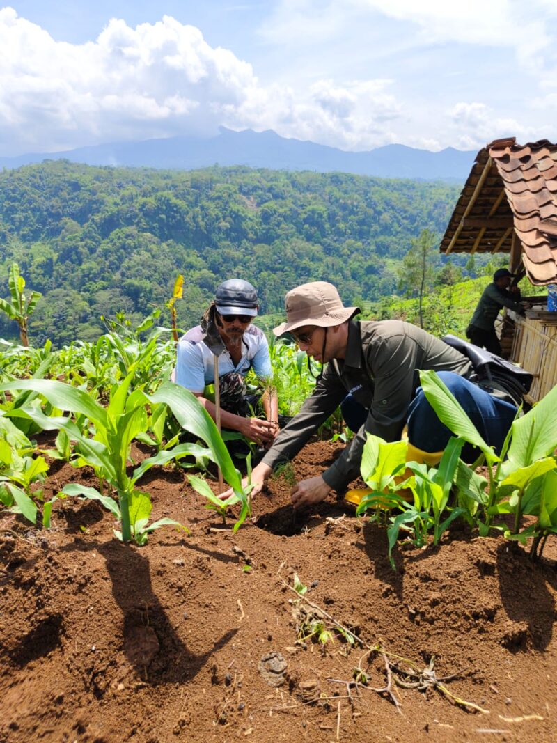 Melalui upaya berkelanjutan dalam menjaga kelestarian hutan, Kesatuan Pemangkuan Hutan (KPH) Garut bersama Muspika Cirapuhan menggelar aksi penanaman 1000 pohon di Wisata Leuweung Oko. Melalui upaya berkelanjutan dalam menjaga kelestarian hutan, Kesatuan Pemangkuan Hutan (KPH) Garut bersama Muspika Cirapuhan menggelar aksi penanaman 1000 pohon di Wisata Leuweung Oko. 