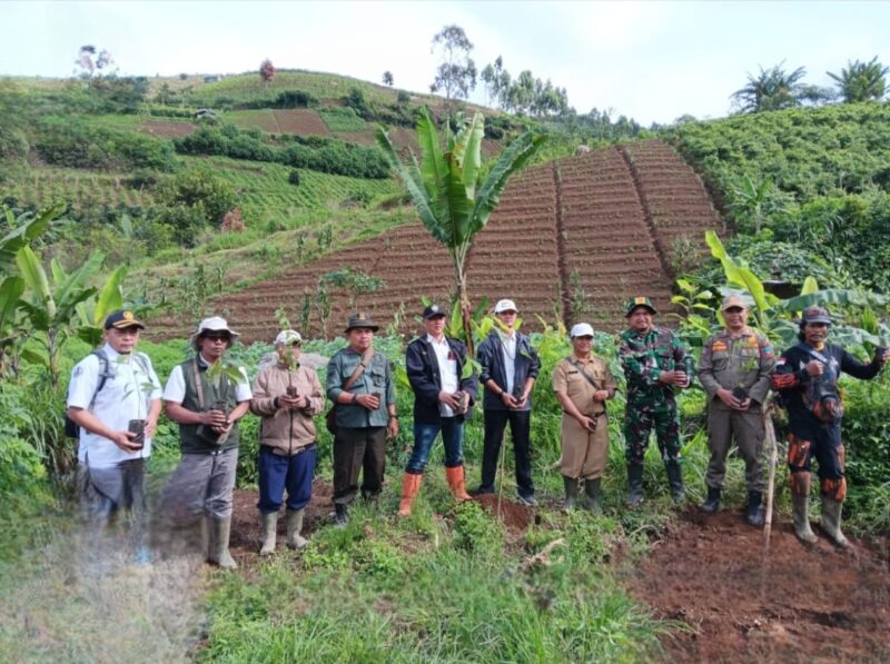 Perhutani bersama dengan berbagai stakeholder di Garut telah melakukan kegiatan penanaman pohon di wilayah hutan Giriawas. Dalam kegiatan yang bertemakan 