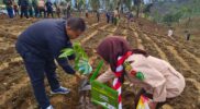 Pelaksanaan Penanaman Pohon Serentak Seluruh Indonesia dalam rangka Hari Bakti Rimbawan ke-41 yang dilaksanakan di Desa Karyamekar, Kecamatan Pasirwangi, Kabupaten Garut, Kamis (7/3/2024).