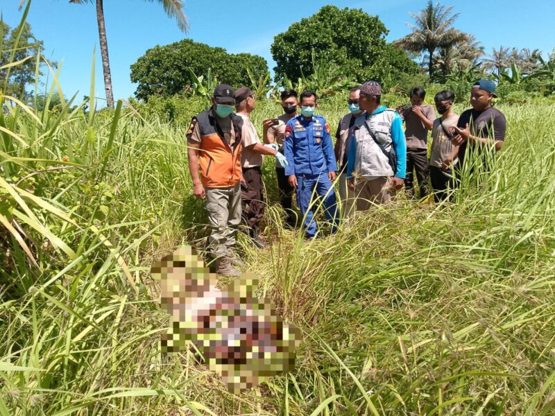 Setelah enam hari dinyatakan hilang, mayat seorang wisatawan yang diketahui bernama Sarwati (67 tahun), ditemukan di kawasan muara sungai Cilauteureun, tepatnya di sekitar kebun milik seorang warga di wilayah Kecamatan Cikelet, Kabupaten Garut. Senin (07/04/2025).