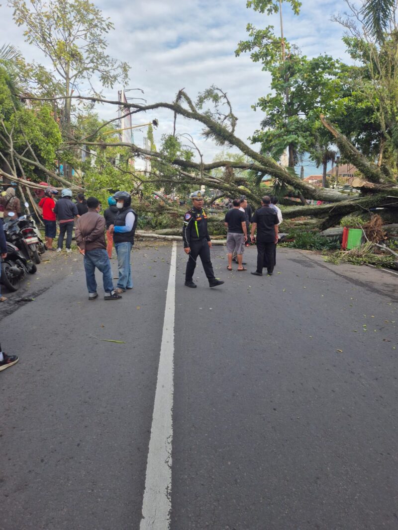 Hujan deras disertai angin kencang yang mengguyur Kabupaten Garut sejak Rabu pagi (24/04/2025) menyebabkan sebuah pohon besar tumbang dan menutup sebagian ruas Jalan Suherman, Kecamatan Tarogong Kaler. Kejadian yang berlangsung sekitar pukul 07.00 WIB ini sempat membuat lalu lintas tersendat dan memicu kekhawatiran para pengendara.
