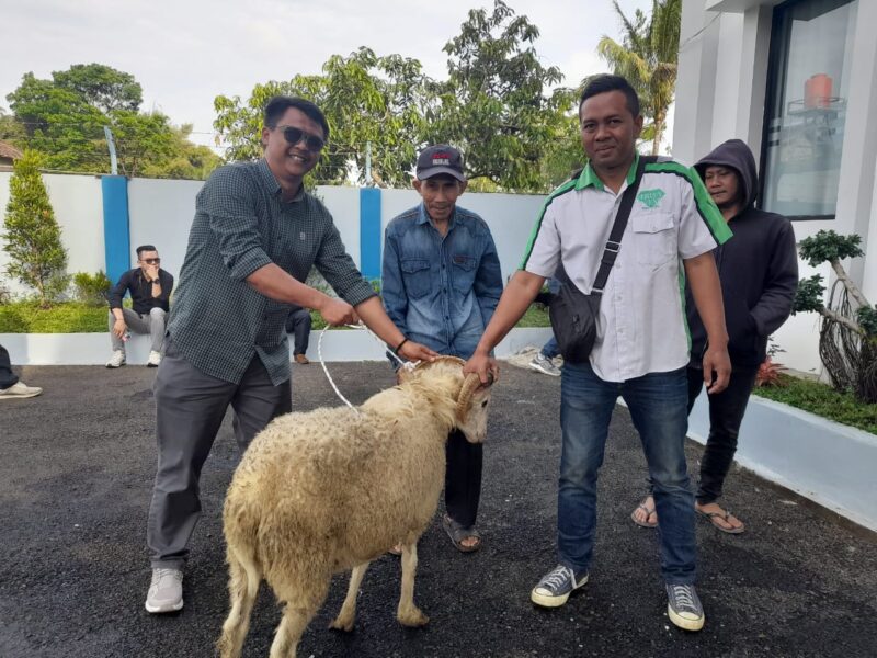 Dalam rangka memperingati Hari Raya Idul Adha 1446 H/2025 M, Perumda Air Minum Tirta Intan Kabupaten Garut kembali menunjukkan komitmennya dalam berbagi dengan masyarakat. Sebanyak 31 ekor kambing dan 3 ekor sapi disalurkan secara simbolis sebagai hewan qurban kepada masyarakat di sekitar sumber mata air serta seluruh cabang PDAM.