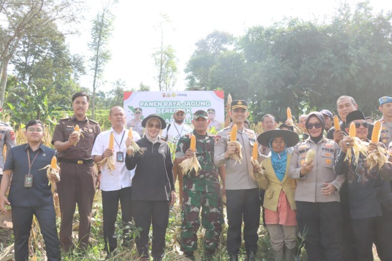 Polres Garut menggelar kegiatan Panen Raya Jagung Serentak Kuartal II di Kampung Cileungsi, Desa Pasawahan, Kecamatan Tarogong Kaler, Kabupaten Garut, Kamis (05/06/2025). 