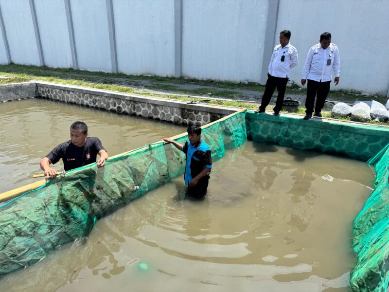 Lembaga Pemasyarakatan (Lapas) Kelas IIA Garut kembali menunjukkan komitmennya dalam mencetak warga binaan yang mandiri dan produktif. Sebanyak 36.000 ekor benih ikan nila resmi ditebar di Kolam Ikan SAE (Sarana Asimilasi dan Edukasi), Jumat (18/10/2025).