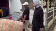 Wakil Bupati Garut, Teh Putri Karlina, melakukan kunjungan lapangan ke kawasan Samanggen, Kecamatan Wanaraja, pada Sabtu (6/12/2025) usai wilayah tersebut kembali terdampak banjir. Kehadirannya untuk memastikan kondisi terkini warga sekaligus mencari solusi cepat atas permasalahan yang terus berulang sejak dua tahun terakhir.