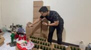 Aparat kepolisian Polda Jawa Barat melalui jajaran Krimsus kembali menunjukkan komitmennya dalam memberantas kejahatan ekonomi. Dipimpin oleh Faris Mahardika, S.I.K selaku Unit 3 Subdit I, petugas berhasil mengungkap praktik produksi dan peredaran minuman keras oplosan bermerek palsu “Kuda Mas” di wilayah Sukamenak, Kecamatan Margahayu, Kabupaten Bandung. Senin (14/4/2026).
