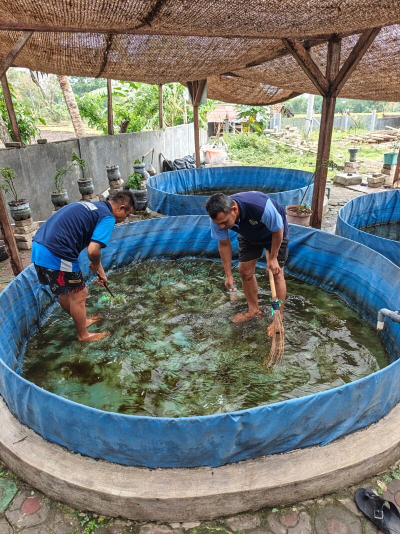 Kegiatan pembinaan kemandirian di Lembaga Pemasyarakatan Kelas IIA Garut tetap berlangsung pada Minggu (25/10/2026). Warga binaan mengikuti budidaya lele dan produksi tahu sebagai bagian dari pembelajaran keterampilan kerja di bidang perikanan dan pengolahan pangan.